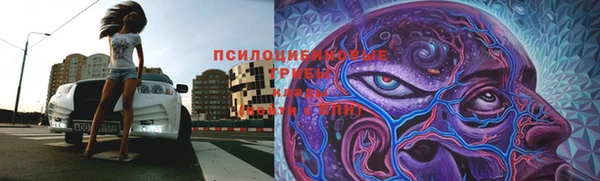 мяу мяу мука Белоозёрский