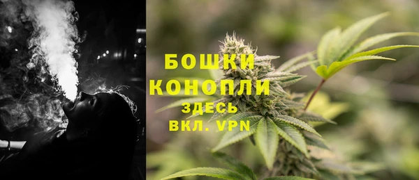 дмт Белокуриха