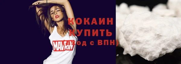 дмт Белокуриха
